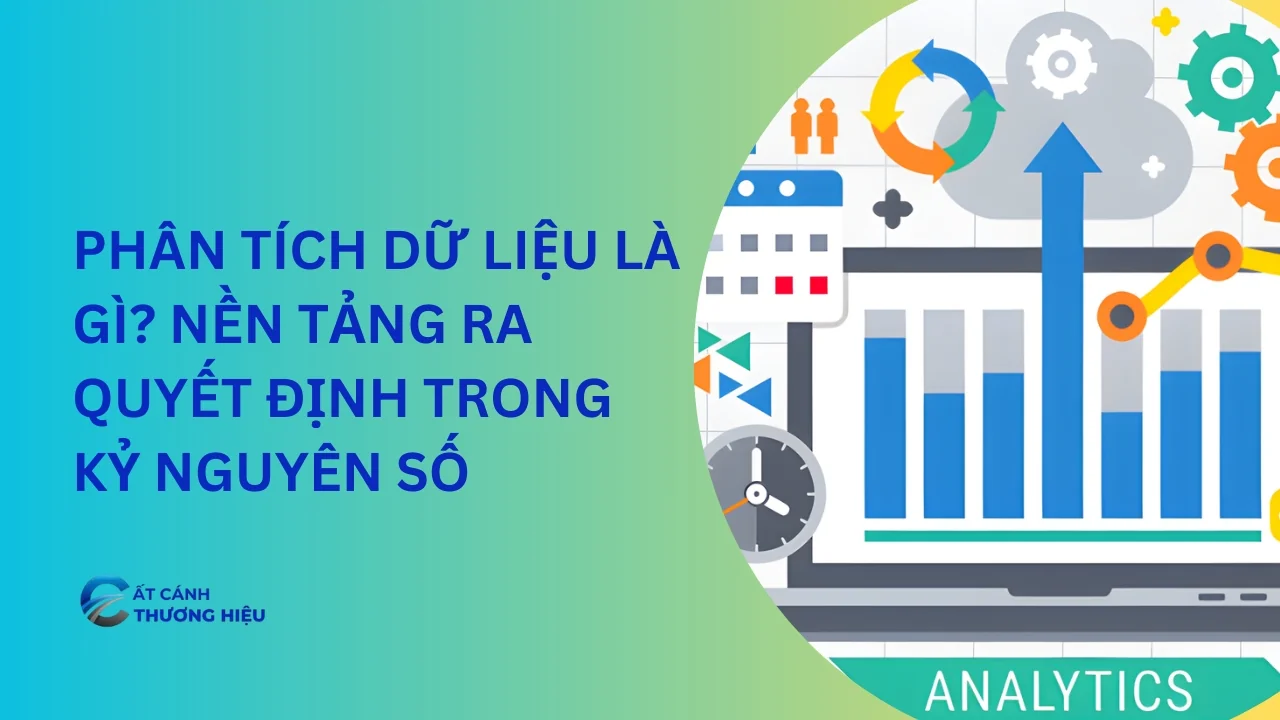 Phân Tích Dữ Liệu Là Gì? Nền Tảng Ra Quyết Định Trong Kỷ Nguyên Số